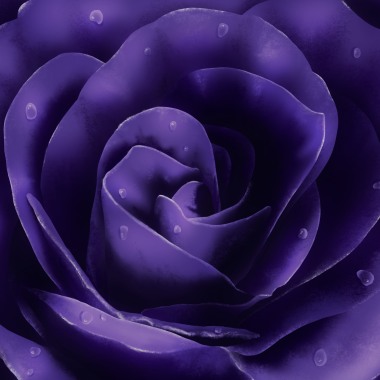 Eternal Flower