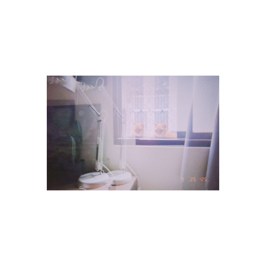 果然是夢，也只是夢，只是一場夢。 A dream, as expected. Nothing more than a dream.