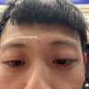 鼠牛虎兔龍蛇馬羊猴雞狗豬