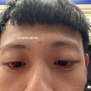 鼠牛虎兔龍蛇馬羊猴雞狗豬