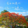會再相遇的，因為心中有彼此。