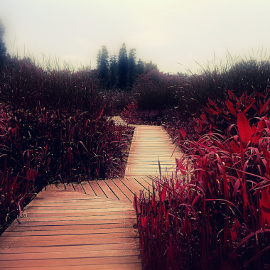 上升拍 Ascending Pi