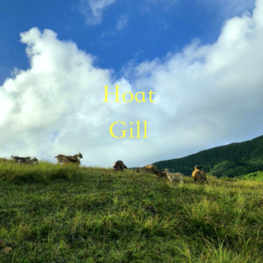 8/7 Tyler, the Creator type beat - Hoat Gill ( 7 day beat challenge D7)