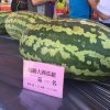 緋村の大嘻哈時代探險小記