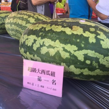 緋村の大嘻哈時代探險小記