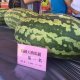 緋村の大嘻哈時代探險小記