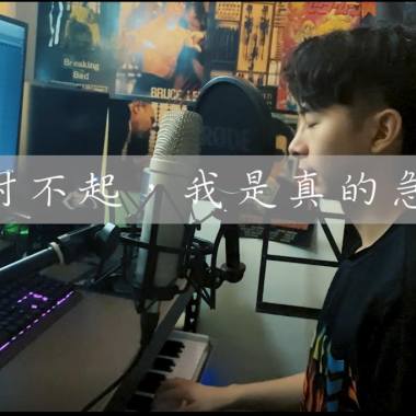 對不起，我是真的急了