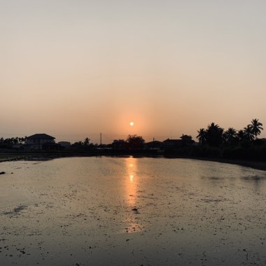 生活