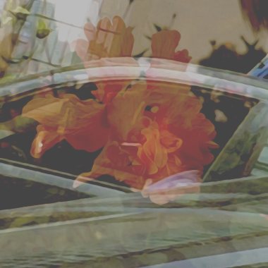 Strangers in Vertigo