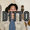 Ditto Cover