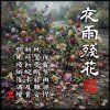 夜雨殘花HD