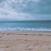 手牽手