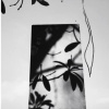 ［書］我與克林索爾的最後夏天
