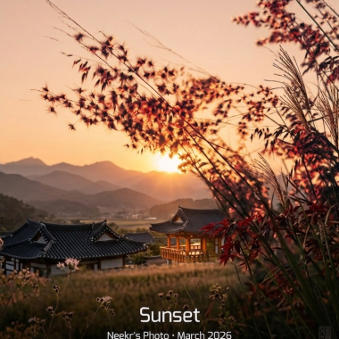 그의 시선（那年228公園裡⋯他的目光）