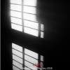 《Self-Inflicted》（咎由自取）