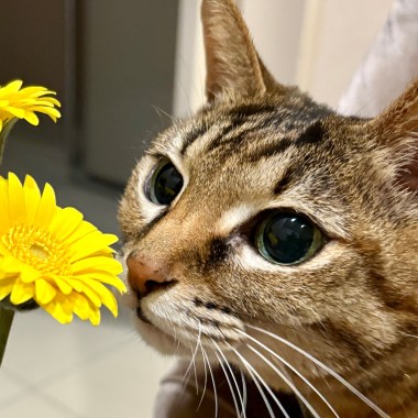 象山公園0點5分