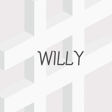 2015 冠軍單曲  Rolling in the deep (cover) - WILLY
