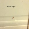 where to go?