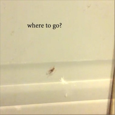 where to go?