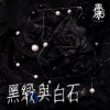 黑緞與白石