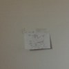 :))-demo