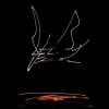 SHINE-instrumental