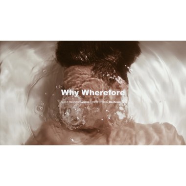 Zashō 高林 - Why Wherefore 【上帝不擲骰子】