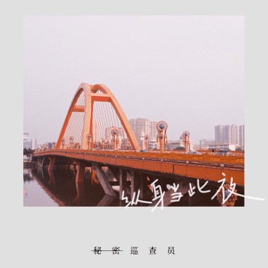 秘密巡查员 - 纵身当此夜