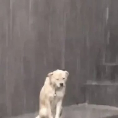 大雨