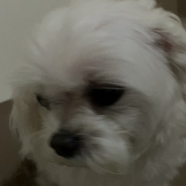 我的