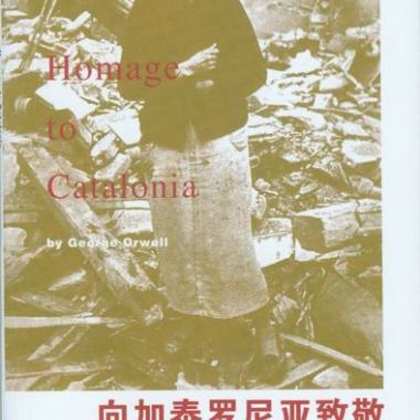 不合時宜