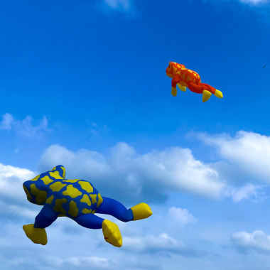Fly High