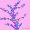 New World