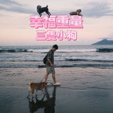幸福重量：三隻小狗