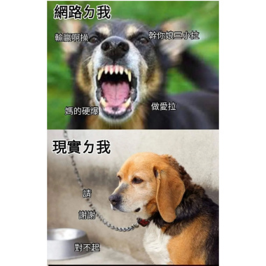 可是我還在啊（demo）