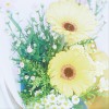 向陽而生🌻