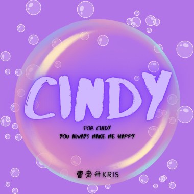 CINDY demo