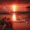 Rose in Tears