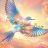 Freedom Now