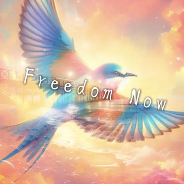 Freedom Now