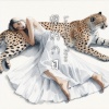 獵豹の目 (Leopard's Eyes)
