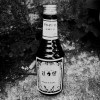 台東生活 feat.TNT Boii