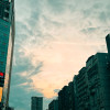 不怕不怕Not afraid