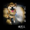單身自由 Demo