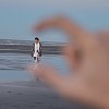 瓶中信
