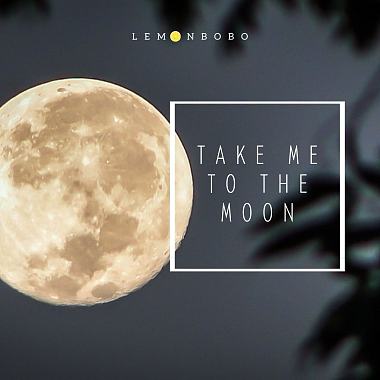 Take Me To The Moon
