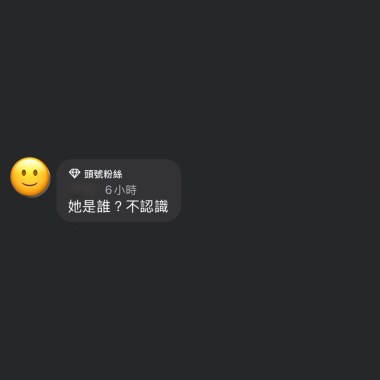他是誰？demo