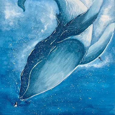 北美大鯨魚-道別