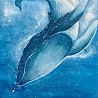 北美大鯨魚-道別