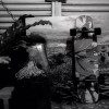 人一出生就死了(demo)